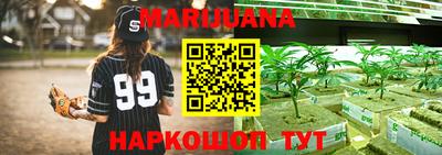 прущие грибы Обнинск