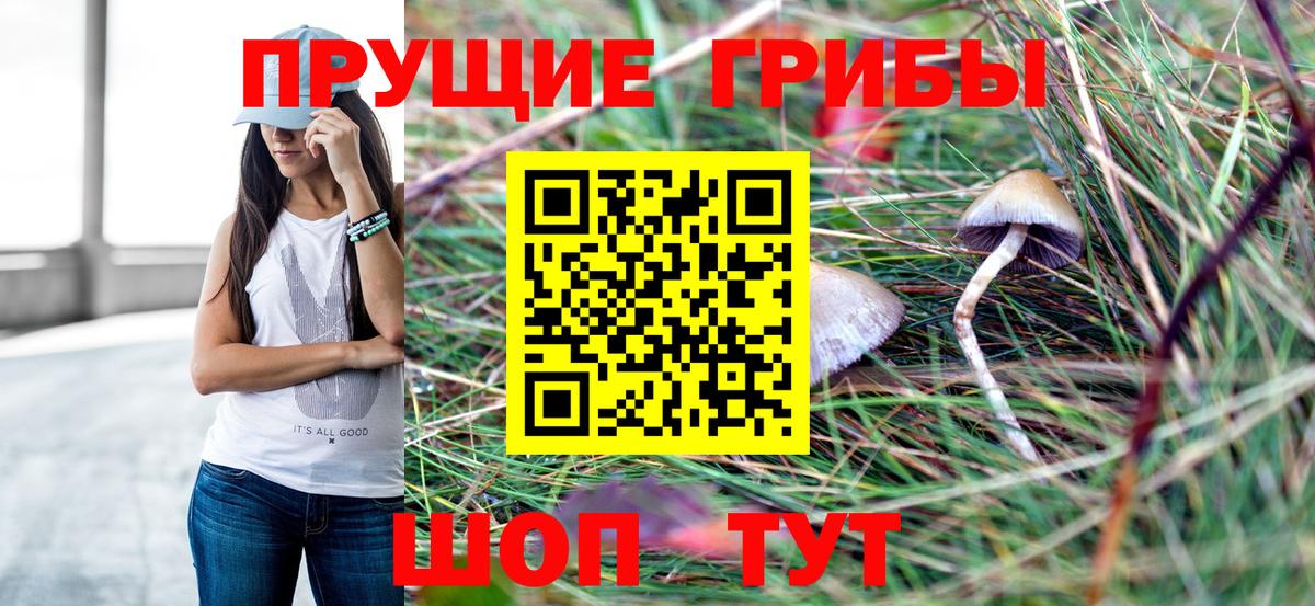 Галлюциногенные грибы Psilocybe Биробиджан