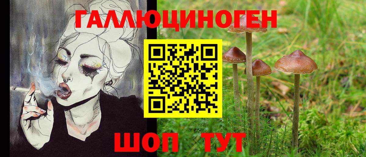 Биробиджан  Галлюциногенные грибы мухоморы  Вход с VPN  Галлюциногенные грибы GOLDEN TEACHER 