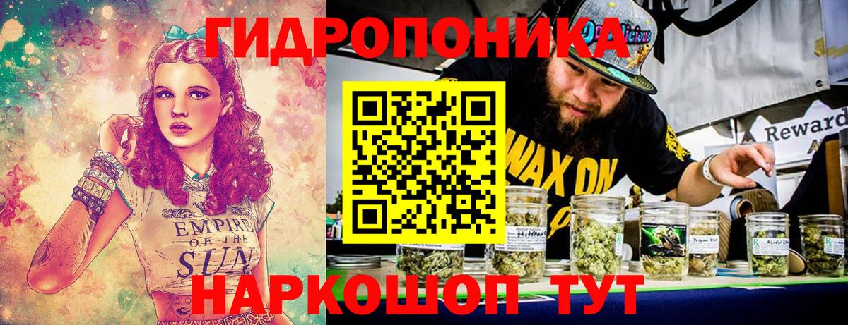 Бошки марихуана конопля  Шишки марихуана Bruce Banner  Конопля гибрид  Вход с VPN  Биробиджан 